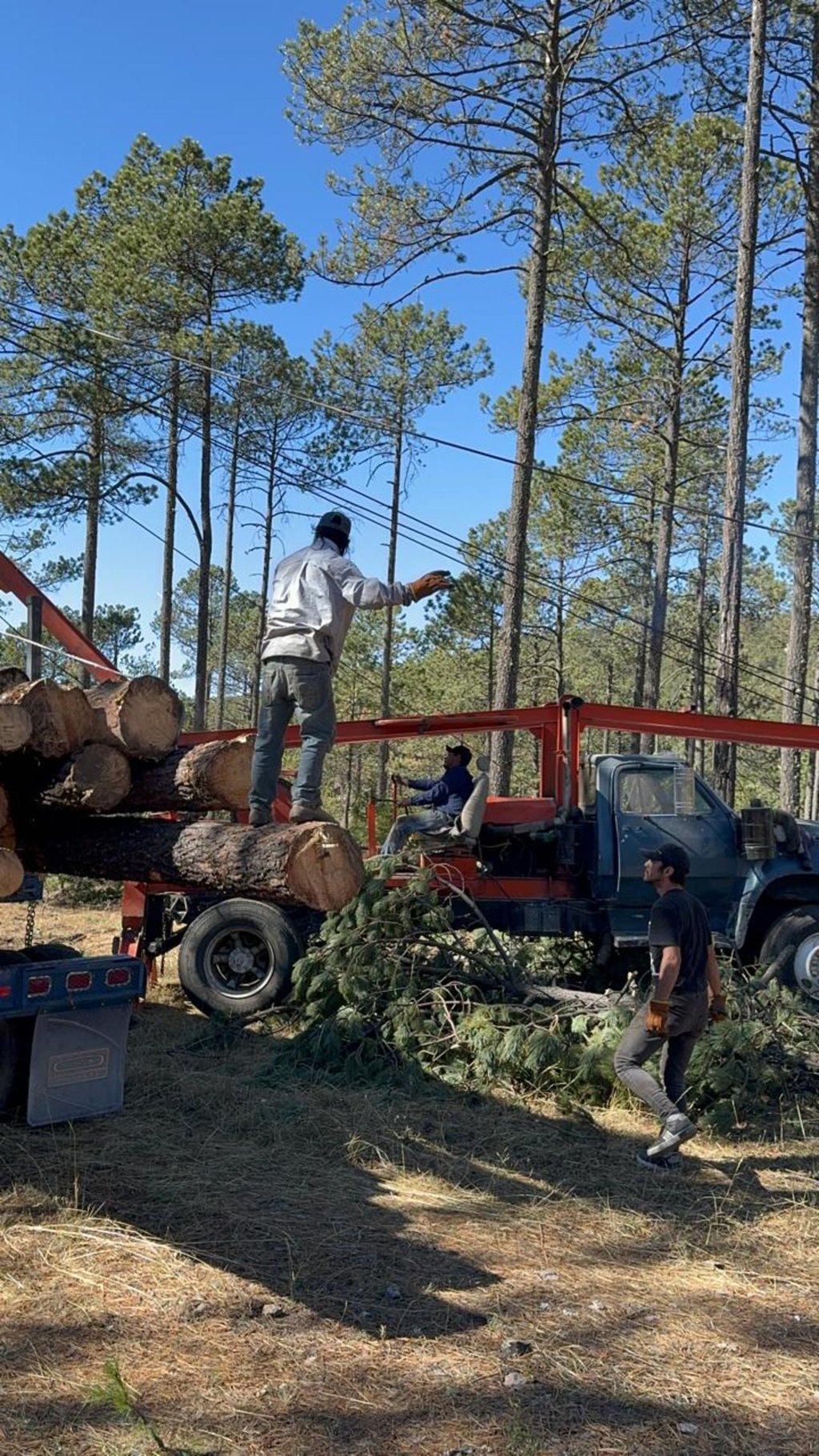 Economía. La propuesta es para reformar  la Ley de Fomento Económico del Estado.