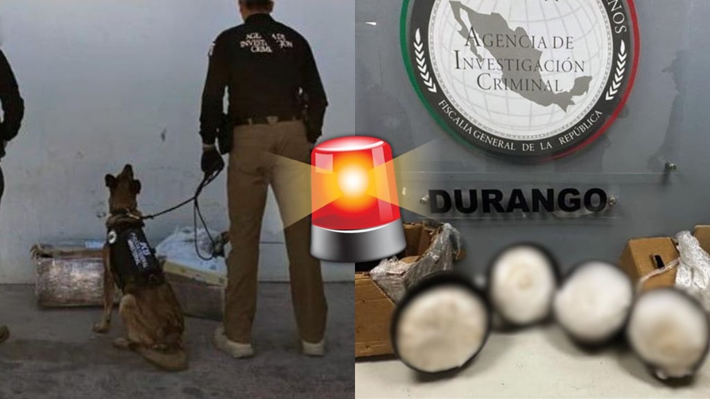 Aseguran 10 kilos de metanfetamina en paquetería de Durango