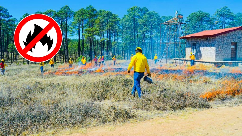 Urgen a incentivar en Durango la cultura de prevención de incendios forestales