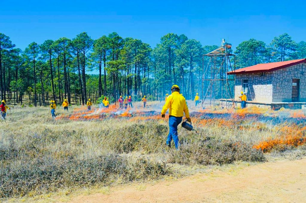 Difusión. En plena temporada, se consideró necesario incentivar la cultura de la prevención entre los ciudadanos, pues son factores humanos los que suelen generar siniestros que pueden repercutir en bienes de particulares.