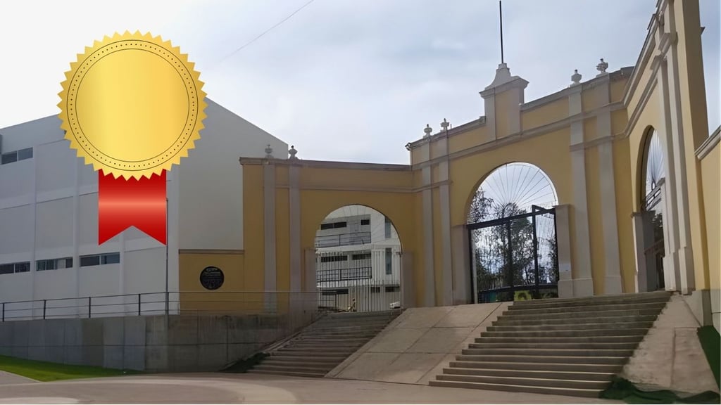 Joven artista de la UJED destaca en certamen de artesanías