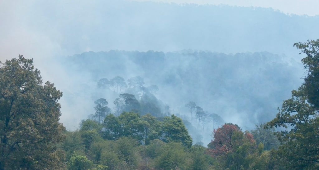 Prevención. Aunque las autoridades activaron un operativo de atención; lo fundamental es prevenir los incendios forestales.