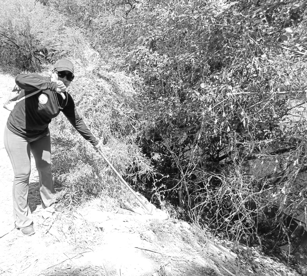 Descarga. En la imagen se observa una de las múltiples descargas de aguas negras que desembocan en el río Tunal, entre El Nayar y El Pueblito.