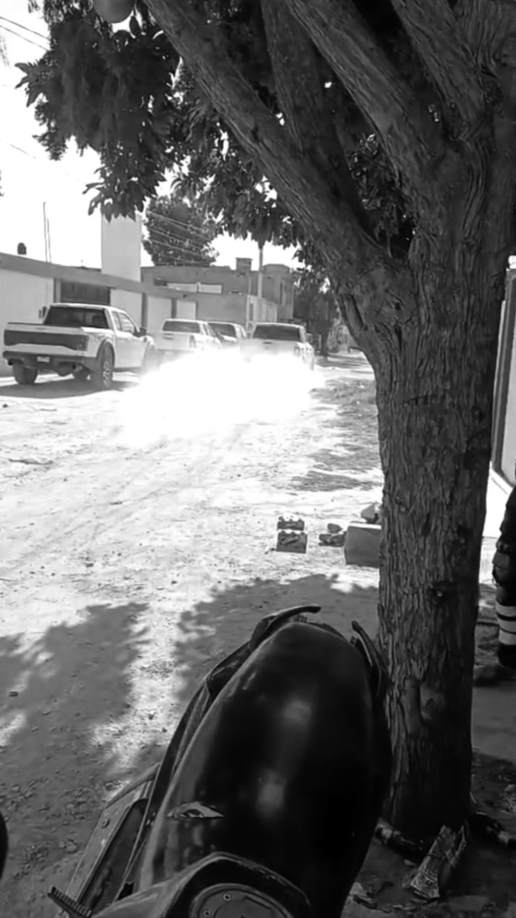 Caso. Perla Muñoz compartió un video en redes y reactivó la polémica al poner en duda la legalidad de la detención de su madre.