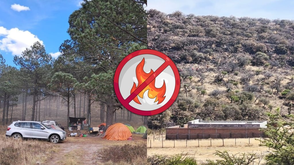 Llaman a ser responsables con el fuego, tras incendio provocado en inmediaciones de Garabitos