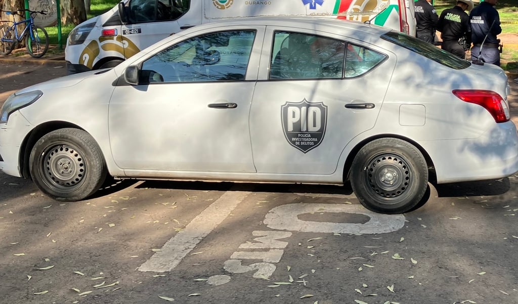 Acción. Localizaron a tres menores extraviados en el Parque Guadiana, fueron entregados a sus familiares.