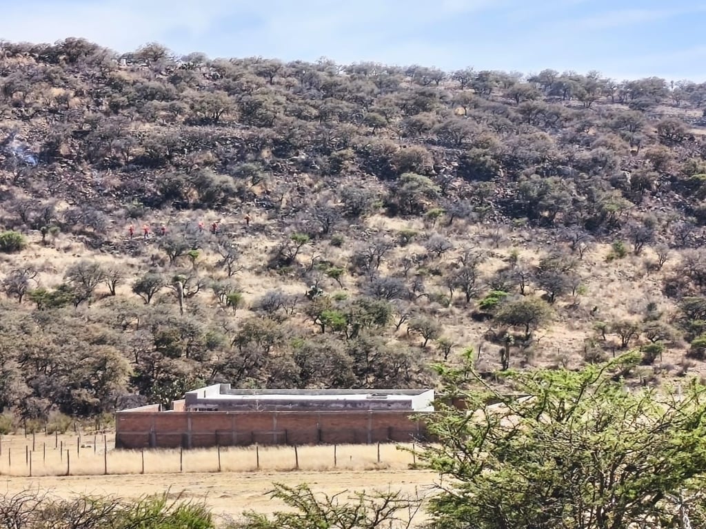 Provocado. El incendio habría sido intencional, por lo que se dio aviso a las autoridades de seguridad para reforzar la vigilancia.