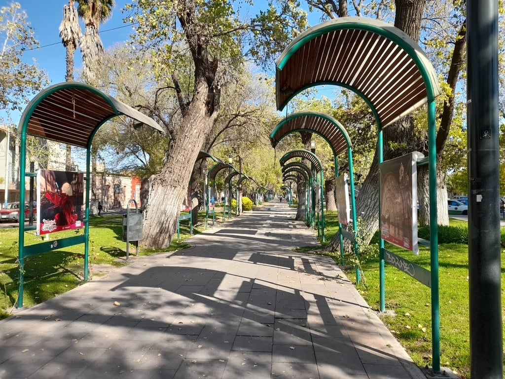 Transitar. Aunque la poda busca evitar obstáculos para los conductores, también se anunció la mejora de las áreas verdes en general.