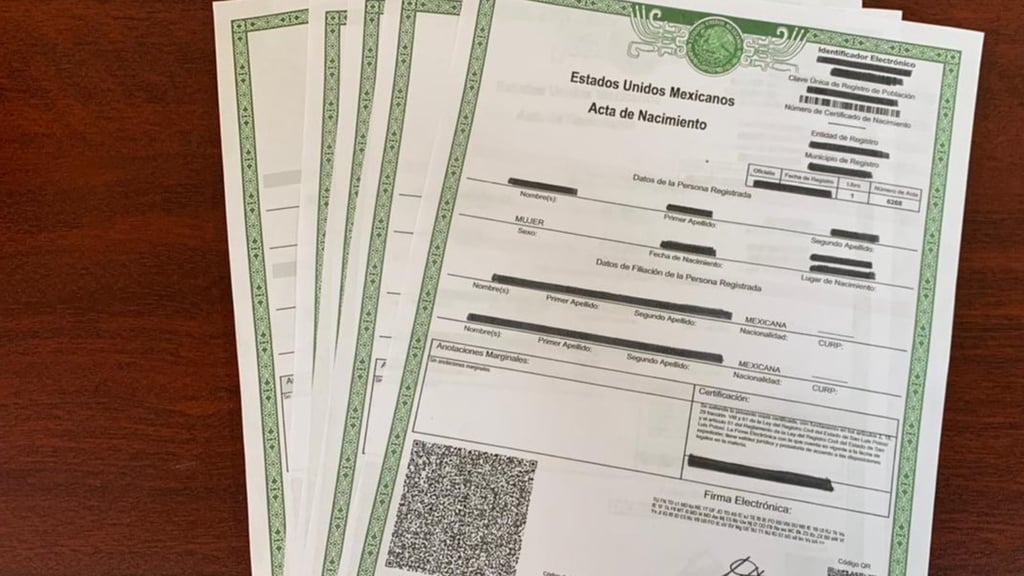 Balance. Se han realizado más de 40 cateos y se ha detenido a 26 personas presuntamente vinculadas con estas prácticas.