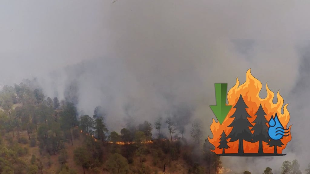Incidencia de incendios en Durango disminuye por la humedad en las zonas