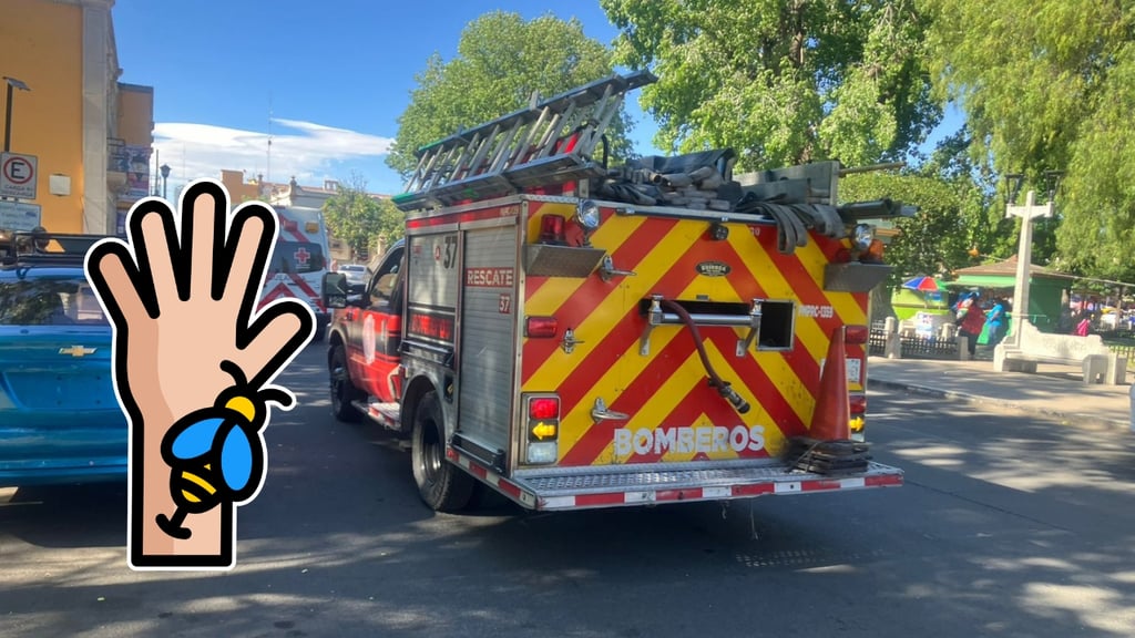 Por segundo día consecutivo, reportan ataque de abejas en Las Alamedas