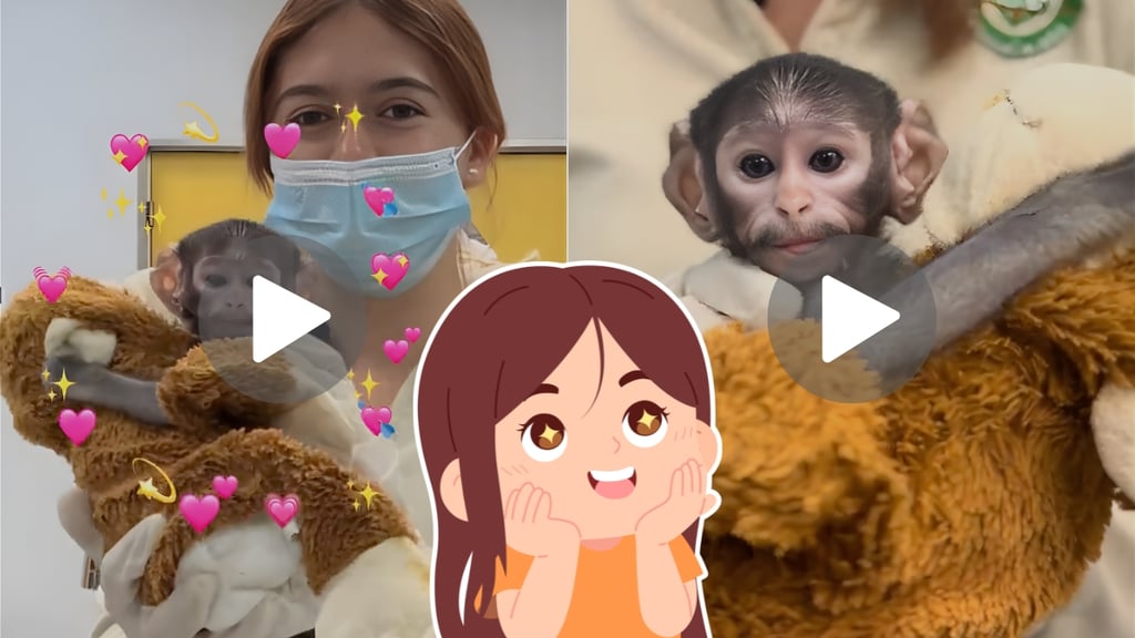 Yuji, el ‘Punch mexicano’ de Guadalajara que enternece tras ser rechazado por su madre