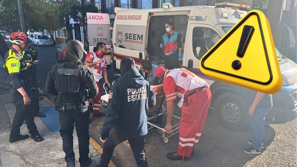 ¿Por qué son tan peligrosas las abejas africanas? Esto debes saber tras los ataques en Durango