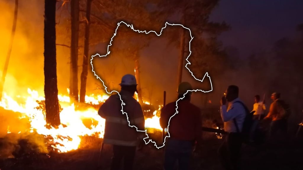 Disminuye 62% la afectación por incendios forestales en Durango durante 2026