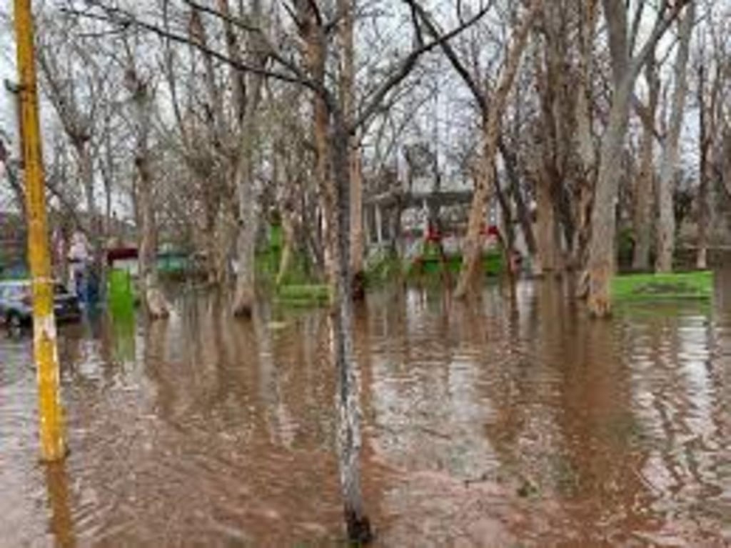 Tras tromba, piden constituir 'de manera real' el Sistema Municipal de Protección Civil de Lerdo