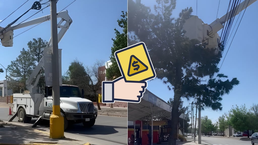CFE pagará una multa por una poda excesiva en una plaza de Durango