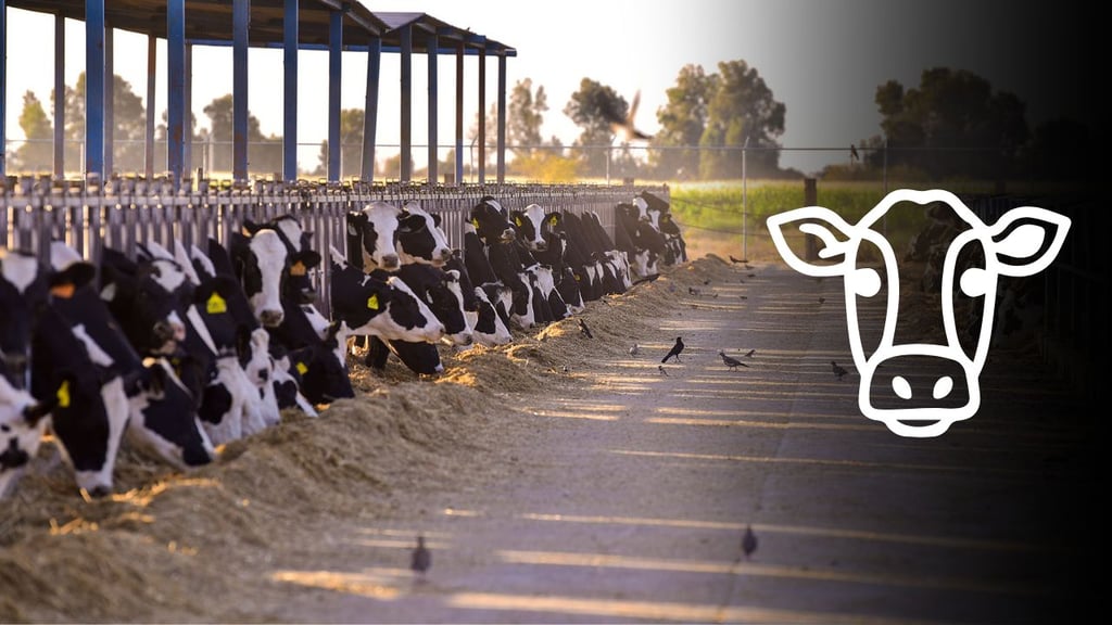 Gómez Palacio presumirá en la Feria su jerarquía en producción de leche