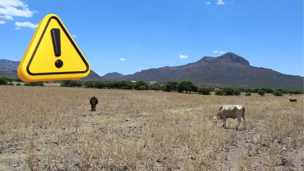 El campo duranguense se enfrenta a diversas amenazas: Regidor