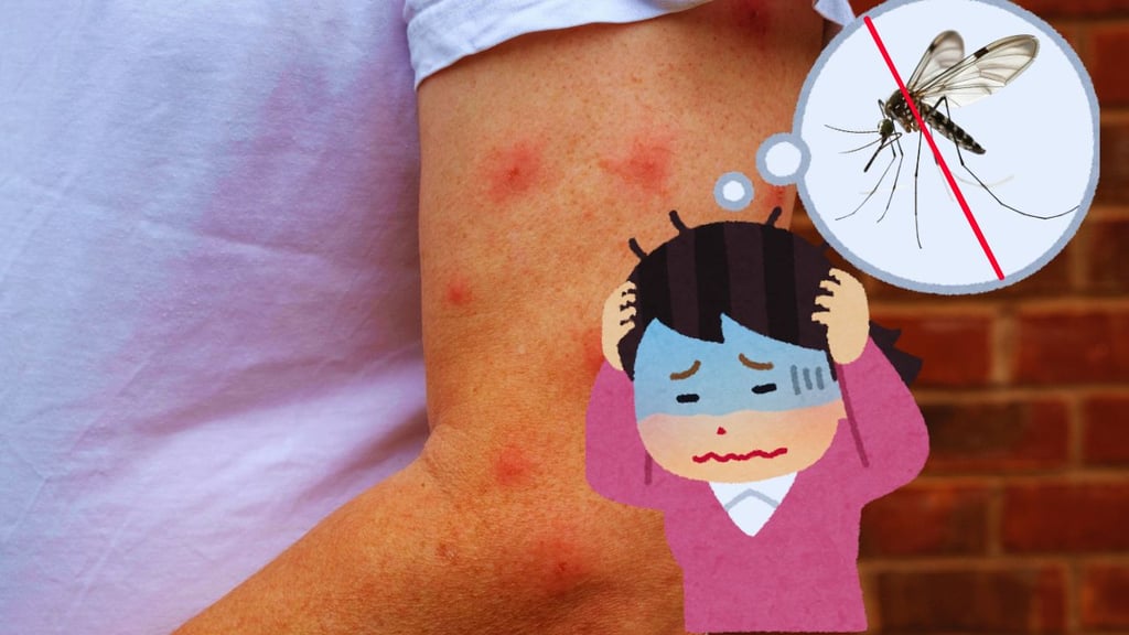 ¿Cómo espantar a los mosquitos en temporada de calor? Consejos prácticos para proteger tu casa