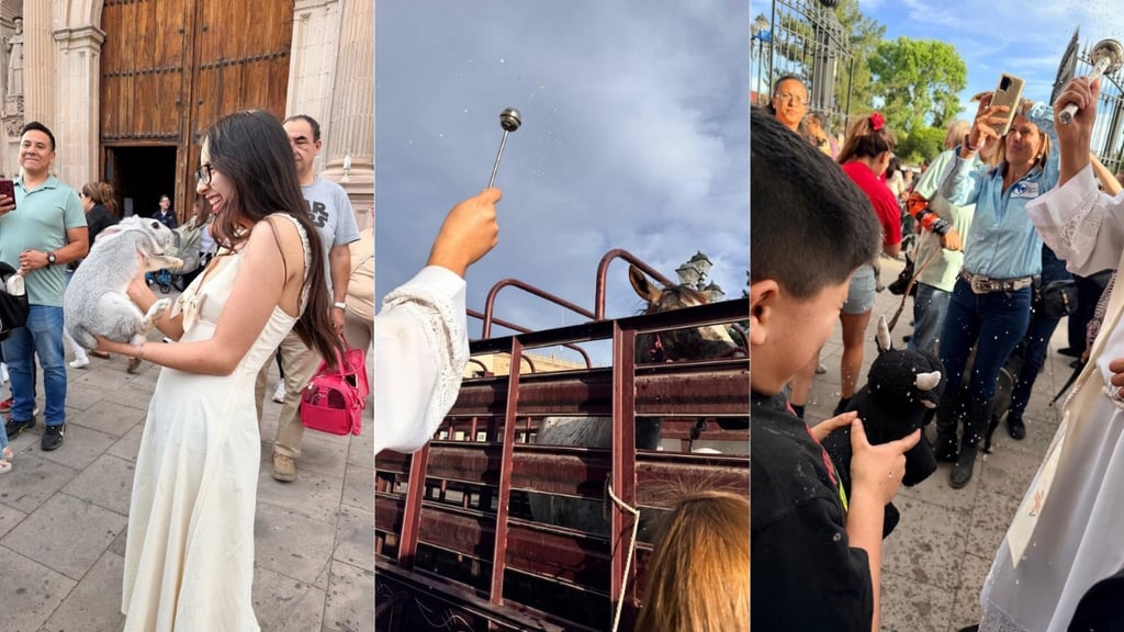 Perritos, conejos y hasta caballos fueron llevados a bendición de mascotas en Catedral de Durango