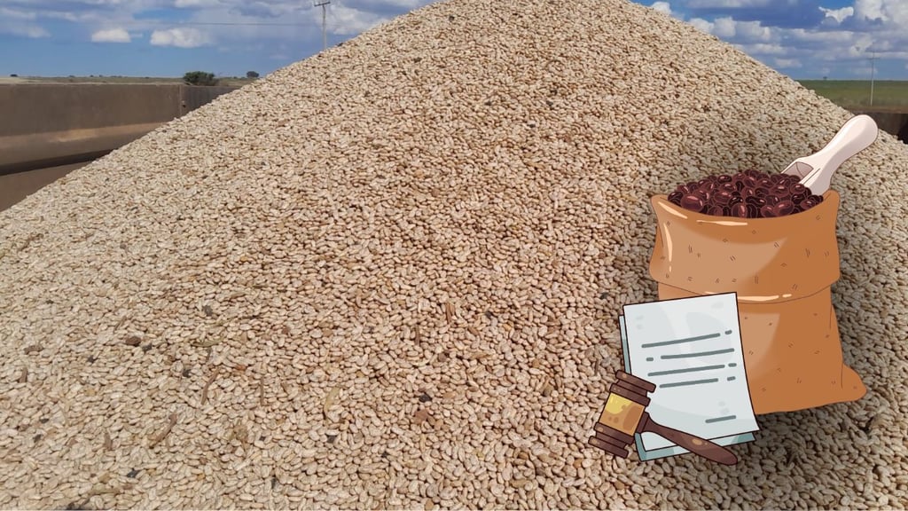 Piden en Durango ampliar acopio de frijol y garantizar distribución equitativa