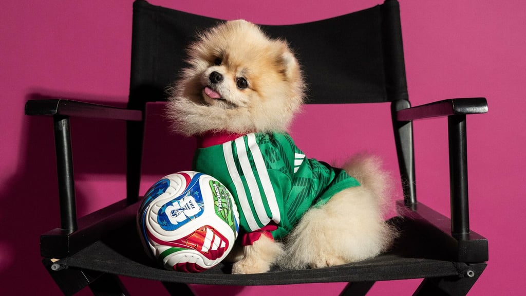Mundial 2026: Adidas presenta jerseys de las selecciones para perritos
