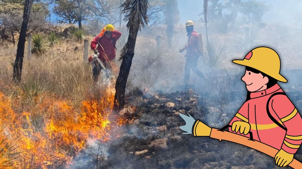 Liquidan incendio forestal registrado en el libramiento de Durango