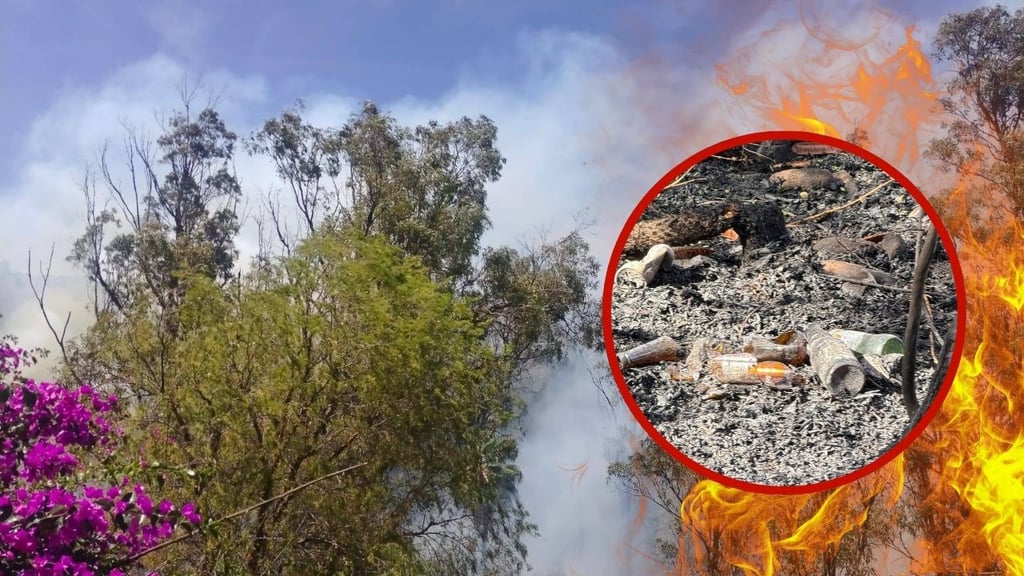 Ya investigan incendios en Parque Sahuatoba, aseguran autoridades
