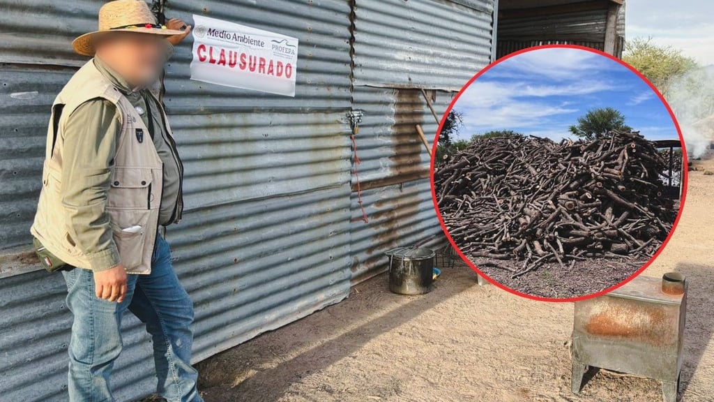 Profepa clausura carbonera en Durango; no acreditó procedencia de la madera