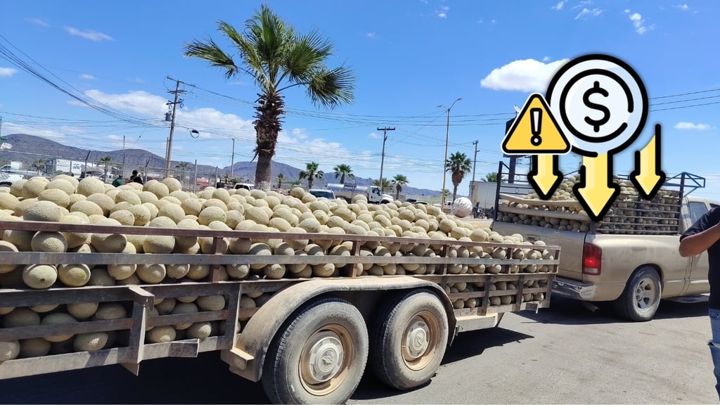 Advierten crisis en el campo por desplome de precios de cosechas