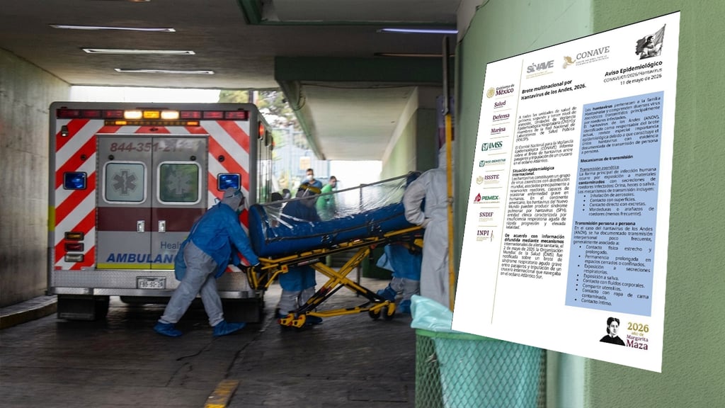 México lanza aviso epidemiológico por Hantavirus: ¿Qué dice la alerta de CONAVE?