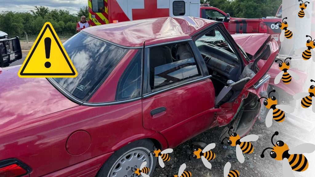 Identifican a familia que fue atacada por abejas en carretera a Mezquital