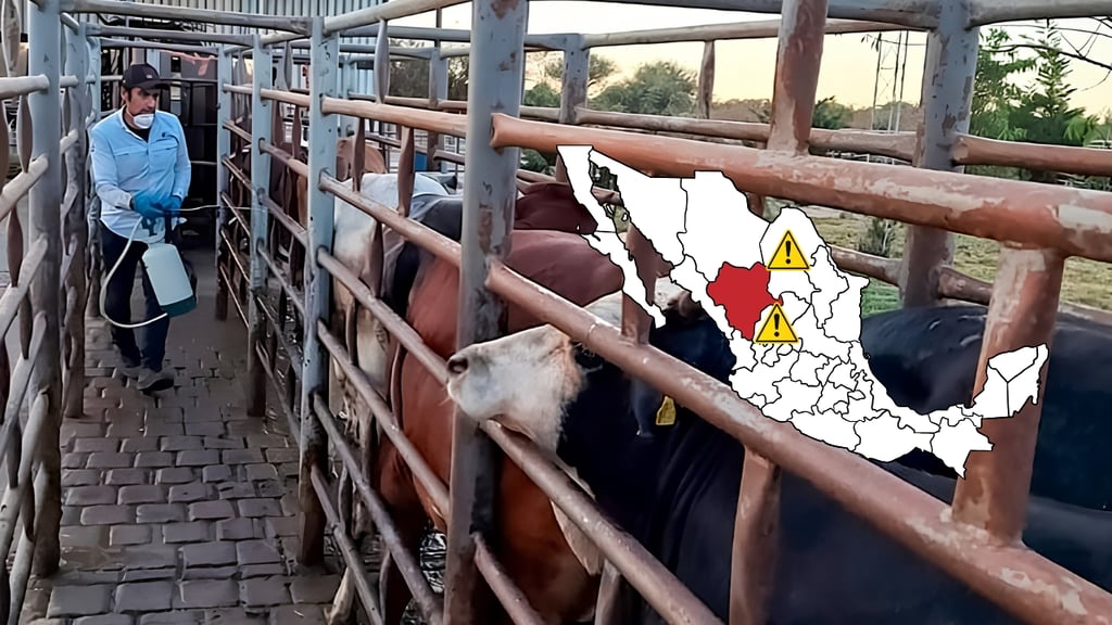 Gusano barrenador: incrementan casos en estados cercanos a Durango