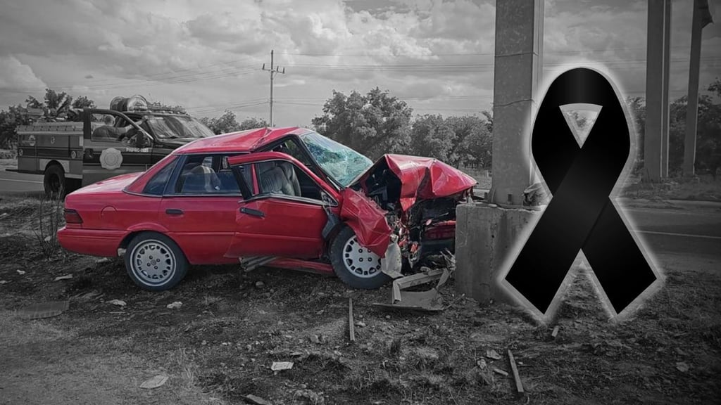 Muere mujer tras accidente provocado por ataque de abejas en carretera a Mezquital