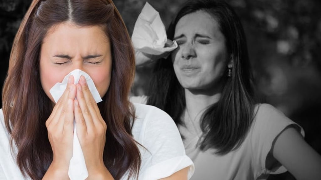 ¿Alergia?, estos son 5 hábitos que las benefician