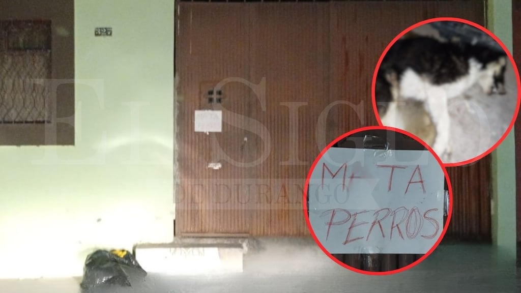 'Mata perros', dejan mensaje en hogar de la colonia PRI; acusan a hombre de asesinar a mascota