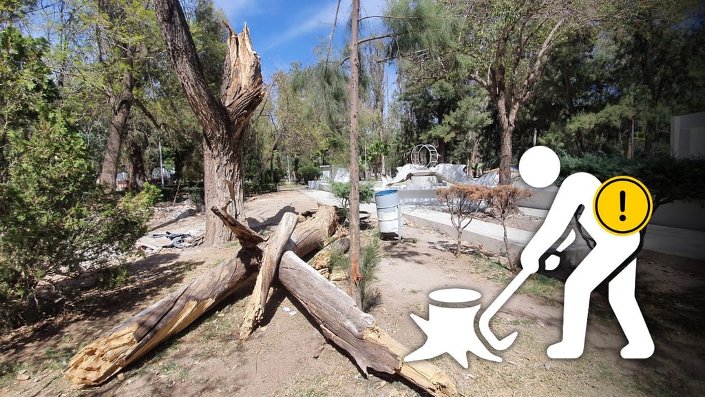 Retiran 50 árboles secos del Parque Guadiana para evitar riesgos en visitantes