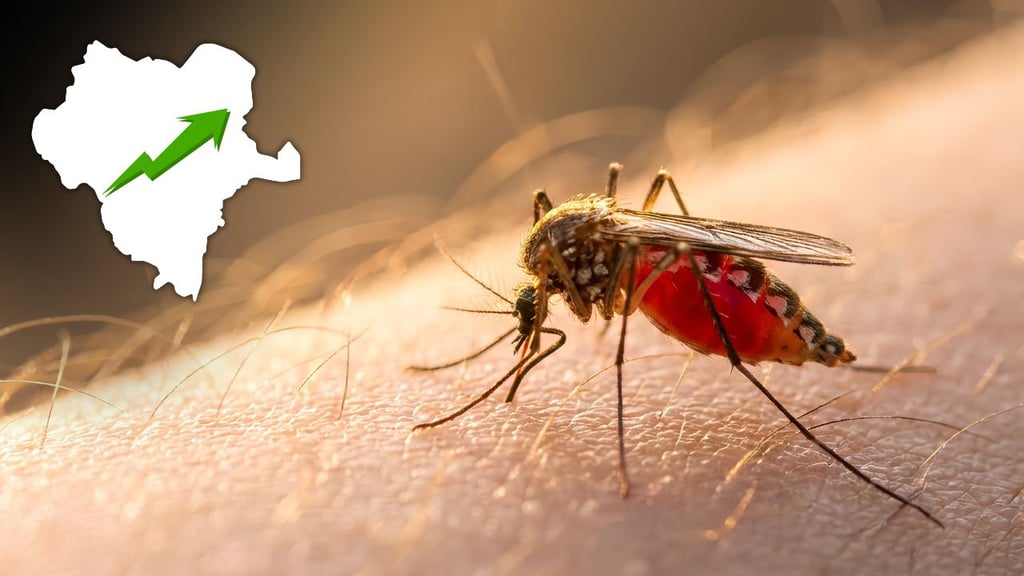 Casos de dengue en Durango pueden proliferar por temporada de lluvias