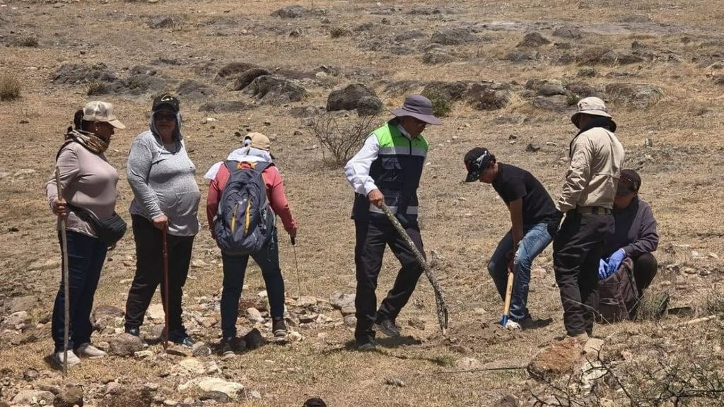 Sin denuncias, no habrá búsquedas de restos en predios de Durango: SGG