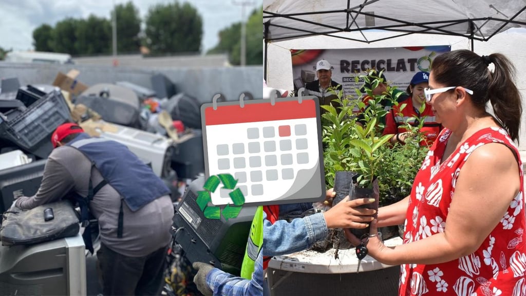 Durango tendrá 'Megareciclatón' con canje de árboles; ¿cuándo y a qué hora?