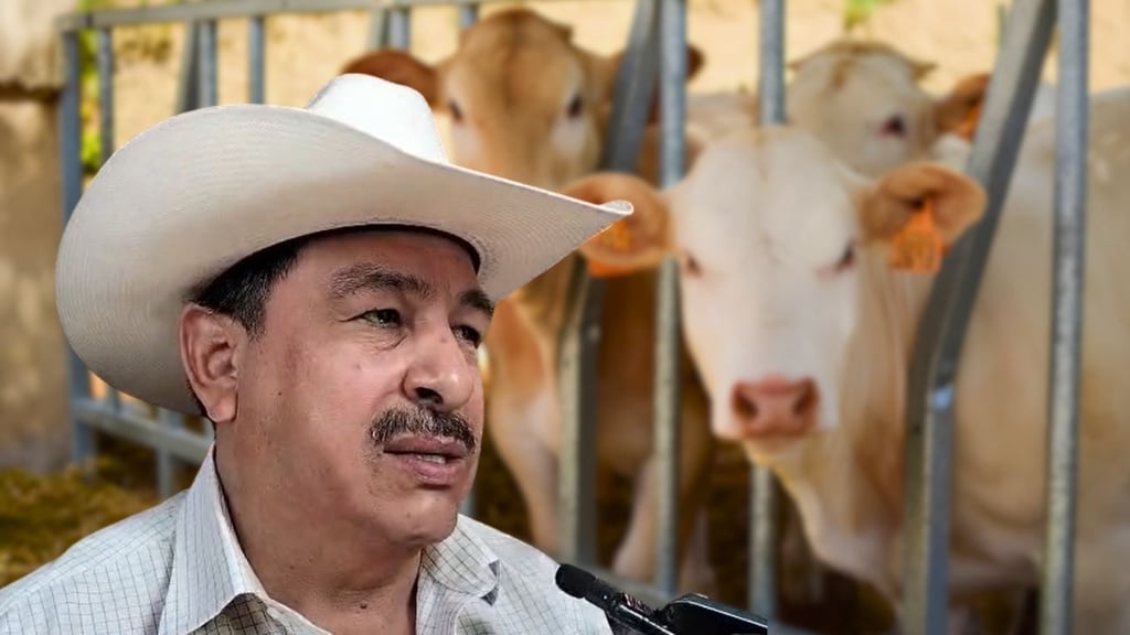 En La Laguna no hay carne con clembuterol; viene del sur del país: UGRD