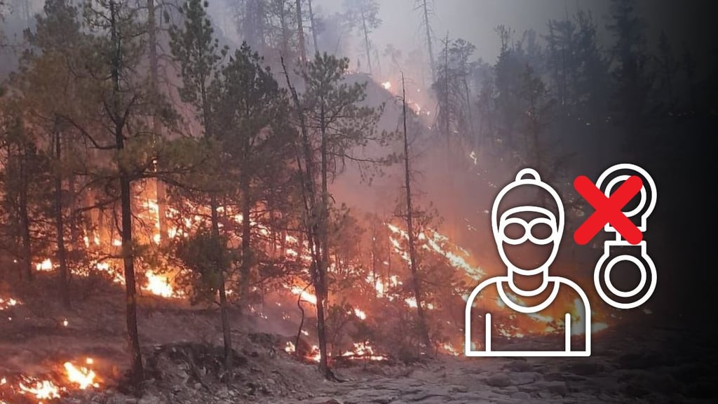 No hay personas detenidas por provocar incendios forestales: SRNyMA