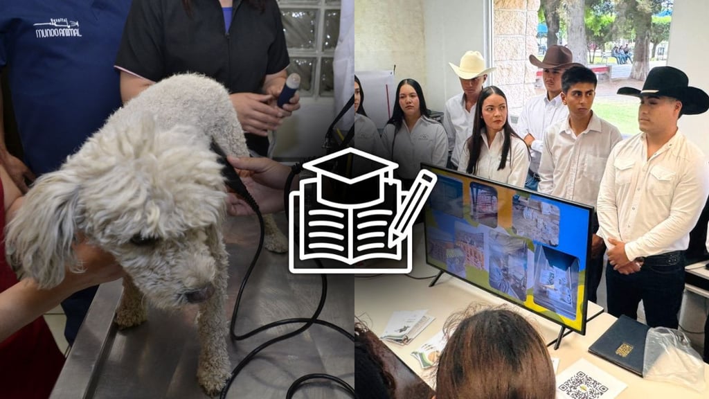 Estudiantes de Veterinaria se preparan para su formación profesional