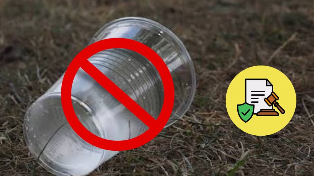 Proponen reducir la compra de plásticos de un solo uso en Durango