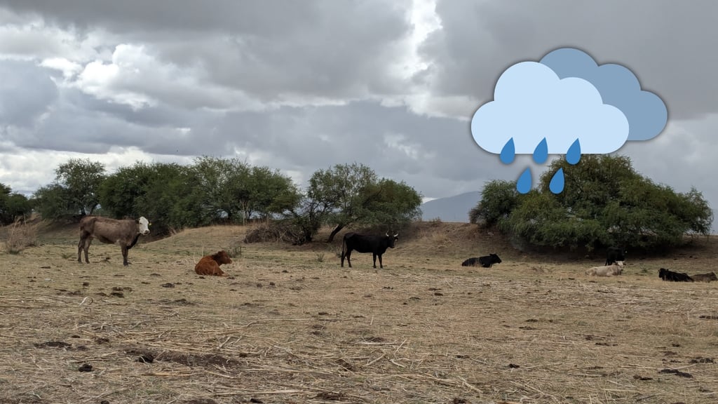 Durango y Coahuila invertirán en bombardeo de nubes para favorecer lluvias en La Laguna