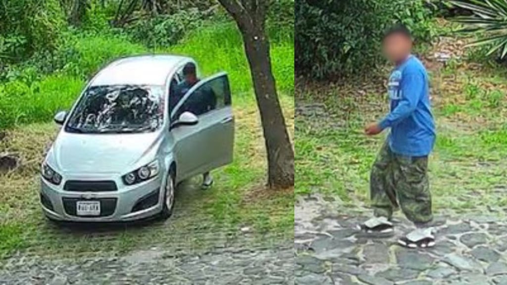Roban automóvil en menos de cinco segundos a plena luz del día | VIDEO