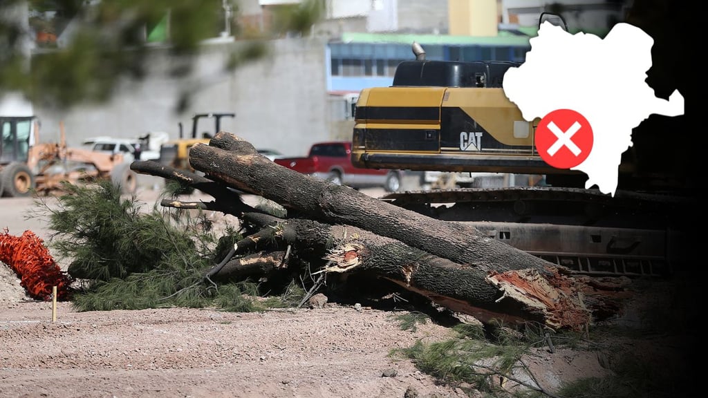 Durante décadas, el crecimiento urbano en Durango fue sin criterios ambientales: Regidor