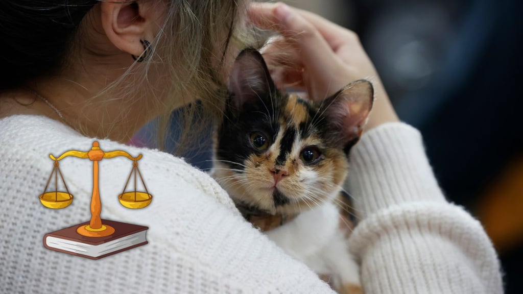 Proponen tipificar y sancionar el abandono de animales en Durango