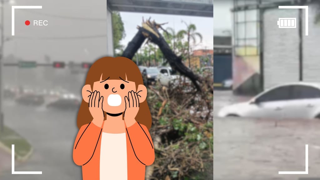 Así se vivió la tromba en Durango este lunes: inundaciones, granizo y árboles caídos | VIDEO