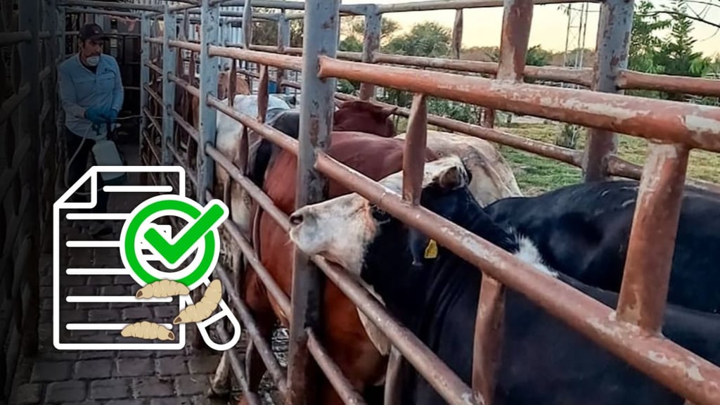 Durango suma ya seis casos de gusano barrenador; dos son en perros